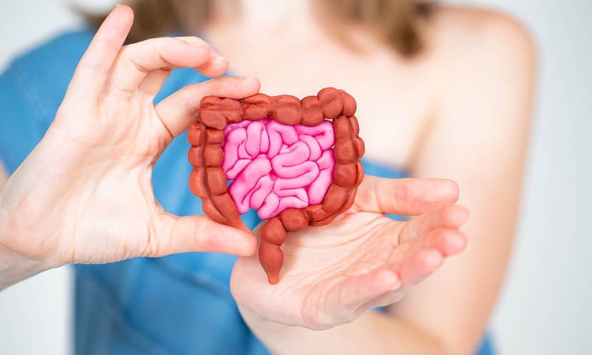 用科學腦一次顧好第二大腦!日內瓦發明展金獎肯定,18項國際專利認證,植物乳酸菌 後生元L-137® 平衡健康大解密!